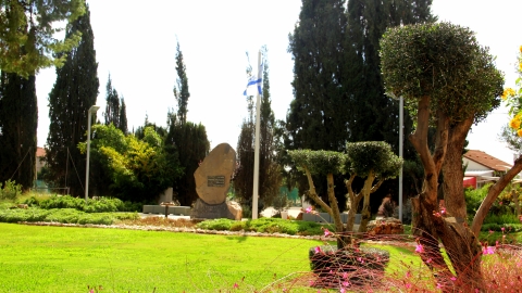 תמונות ערוגות 2.JPG