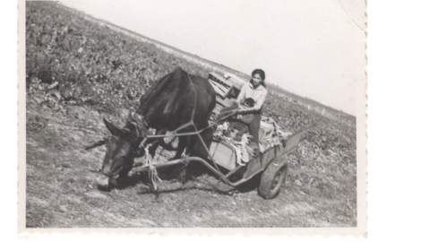 עזריקם 5.jpg